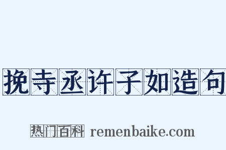 挽寺丞许子如造句是什么意思的图片
